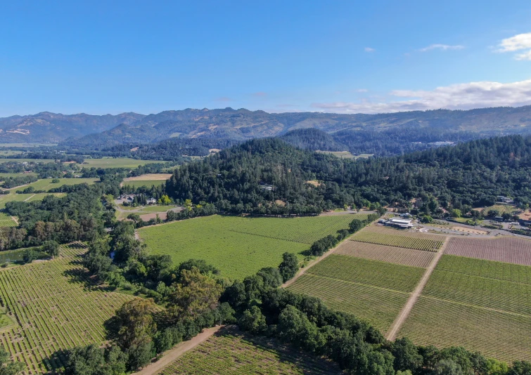 Área rural extensa com divisão agrícola e vegetação natural ideal para desenvolvimento imobiliário e expansão urbana planejada